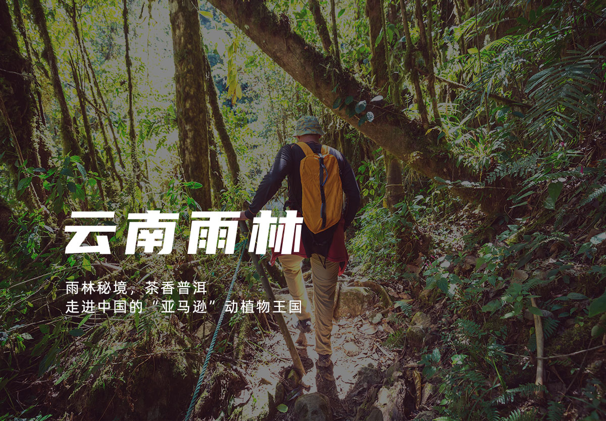 云南雨林探险团建活动